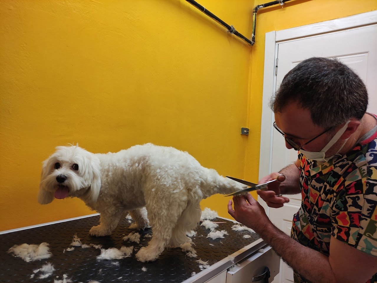 Snoopy Pet Kuaförü