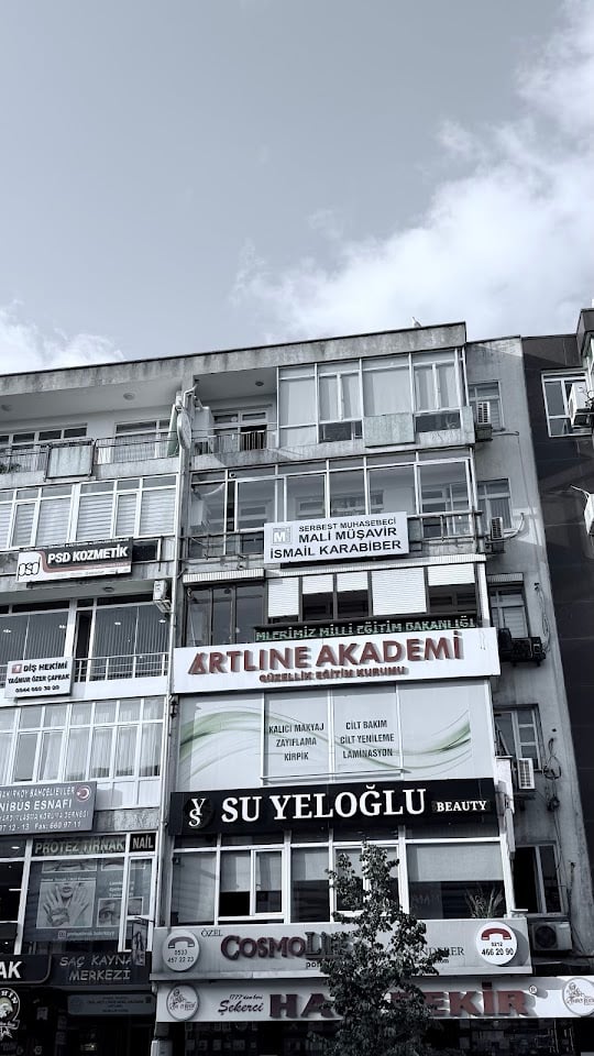 Artline Academy