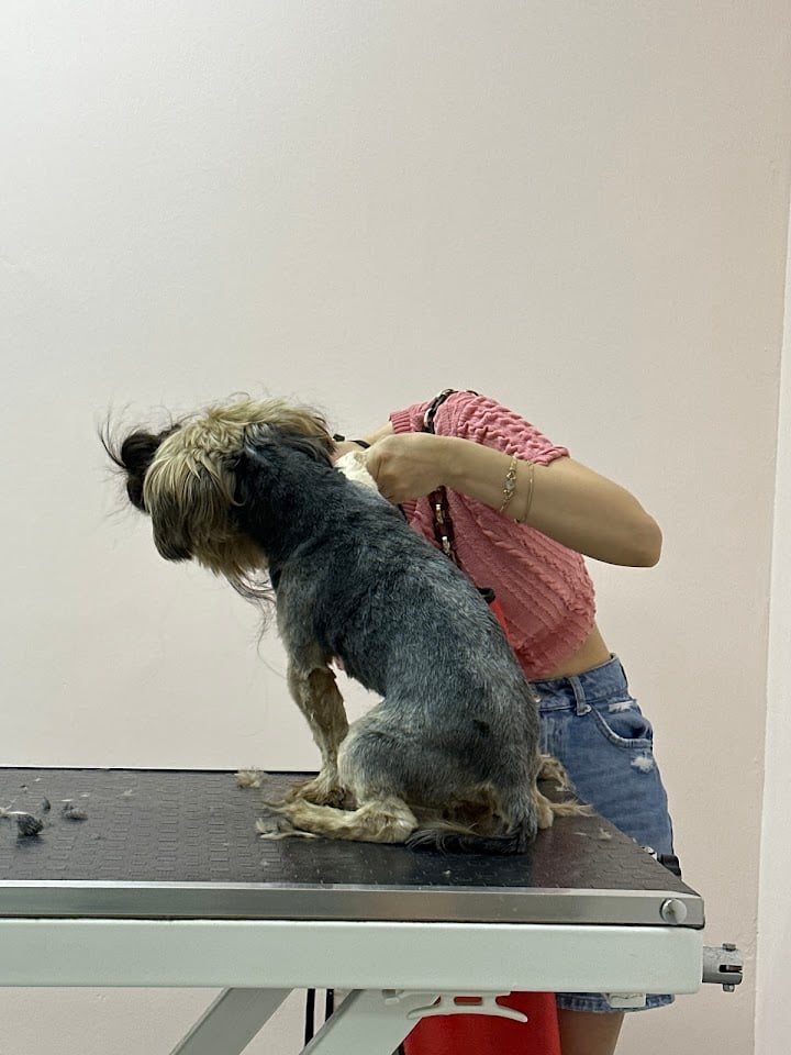 Göktürk Pet Home / Pet Kuaför / Pet Shop
