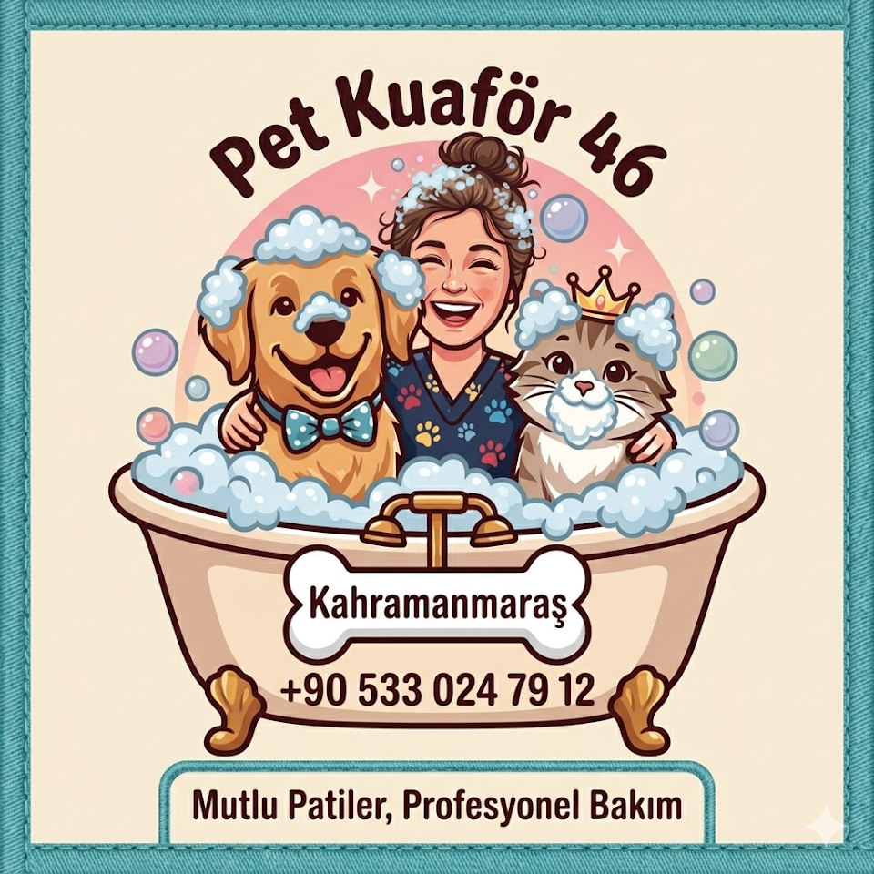 Pet kuaför 46
