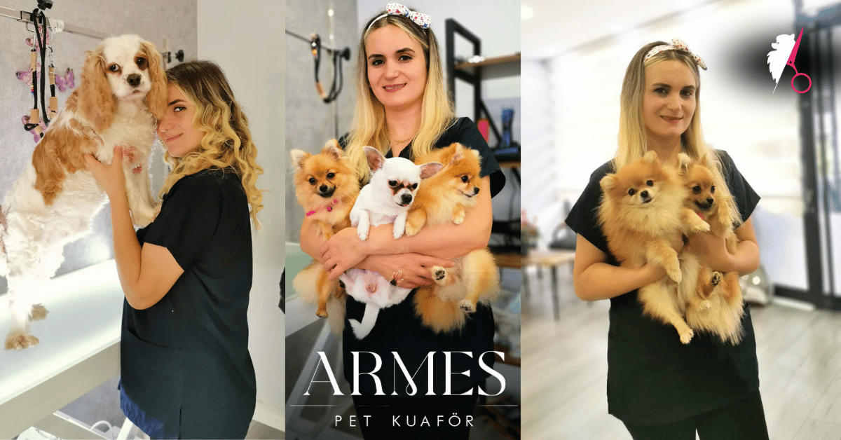 Armes Pet Kuaför