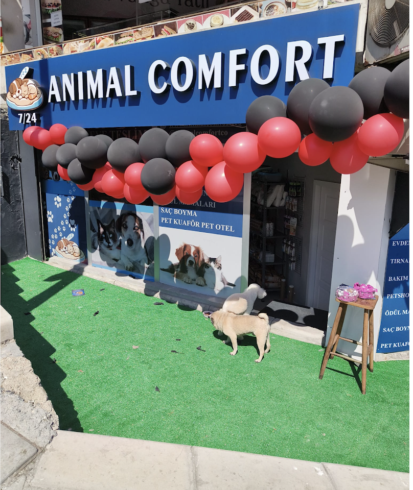 Animal Comfort - Şişli Pet Kuaför & Otel"
