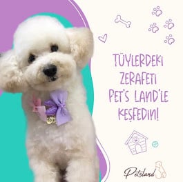 Pet's Land Pet Kuaför