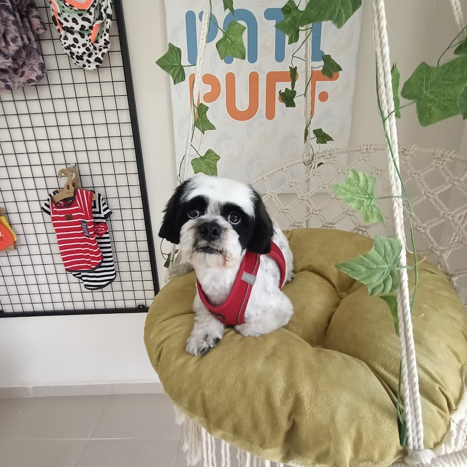 PatiPuff Pet Kuaför