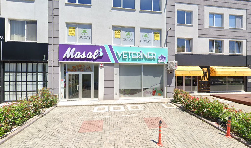 Aysenozkan_makeupstudio