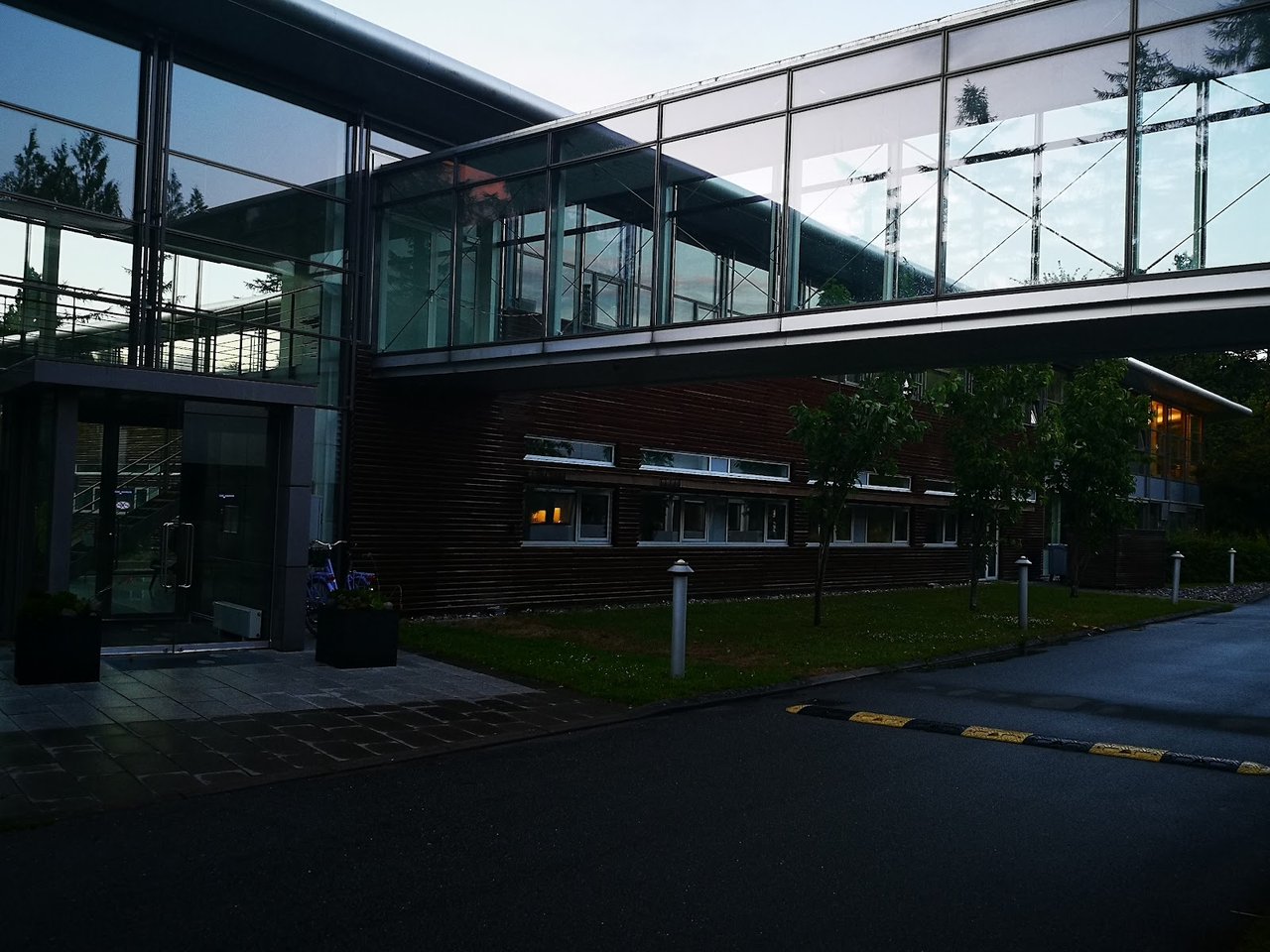 Novonesis