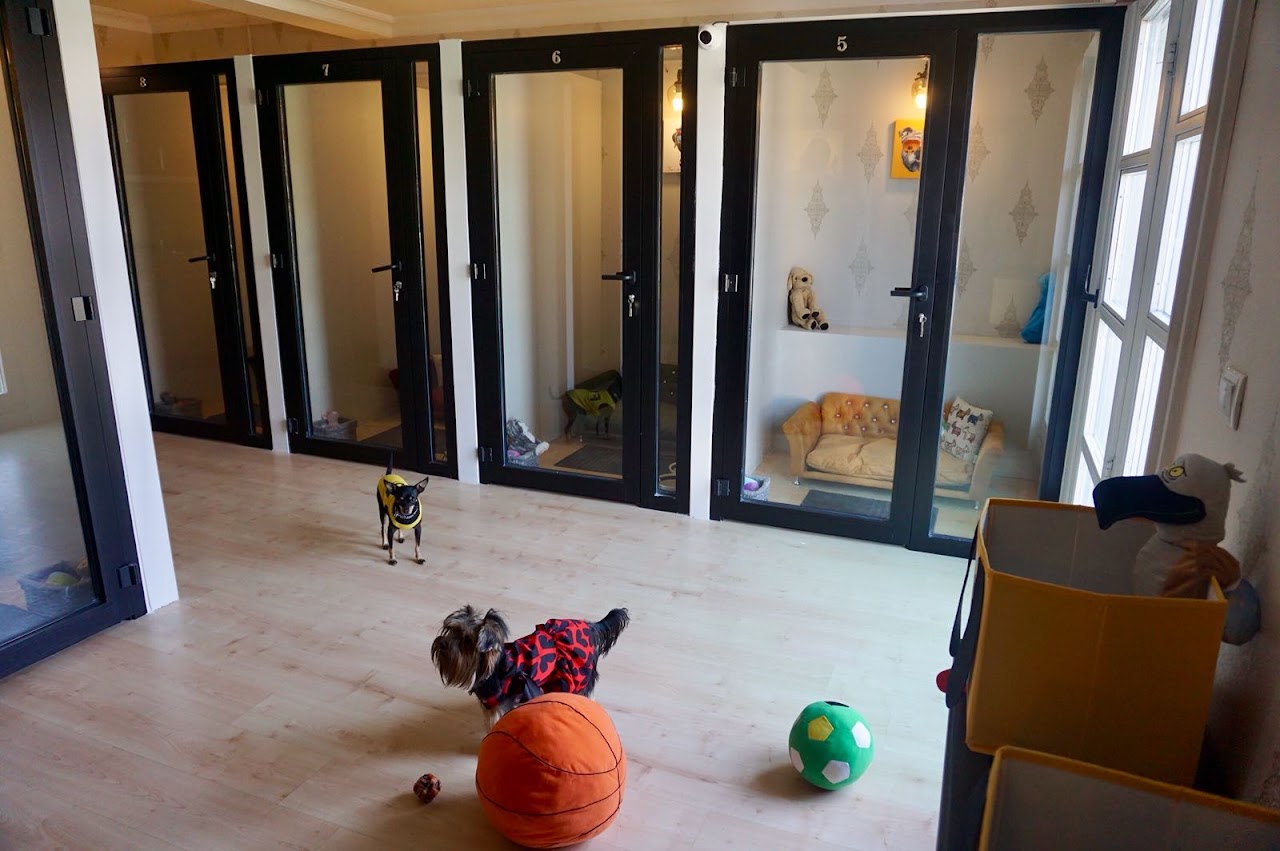 My Sweet Home Pet Otel & Kreş