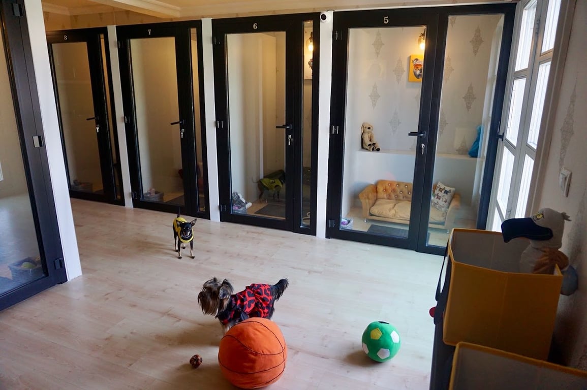 My Sweet Home Pet Otel & Kreş