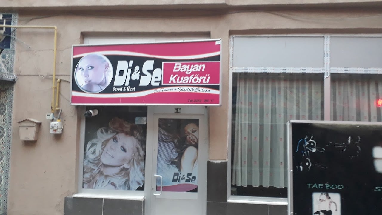 di se bayan kuaforu