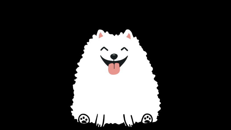 Casper Pet Store