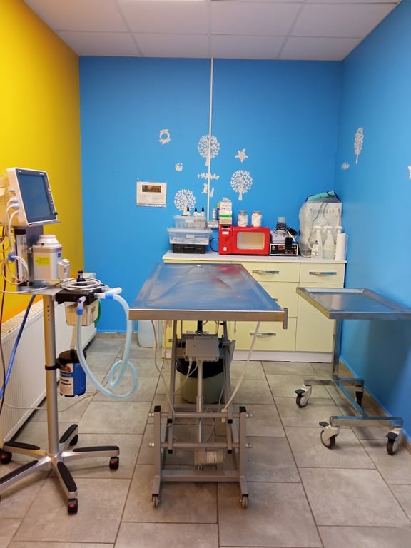 Petopia Ümraniye Veteriner Kliniği (Pet, Kuş ve Egzotik Hayvanlar)