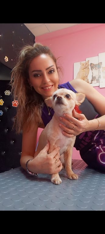 Pet Groomer