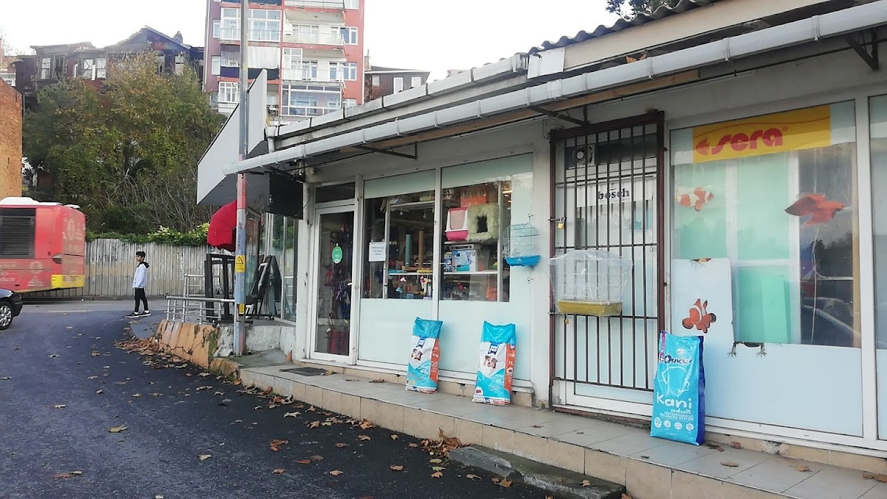 Beykoz Petshop & Pet Kuaför