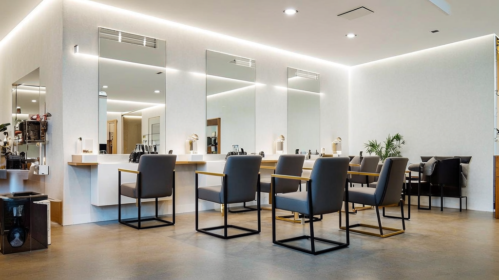 Elegant Electrolysis, LLC