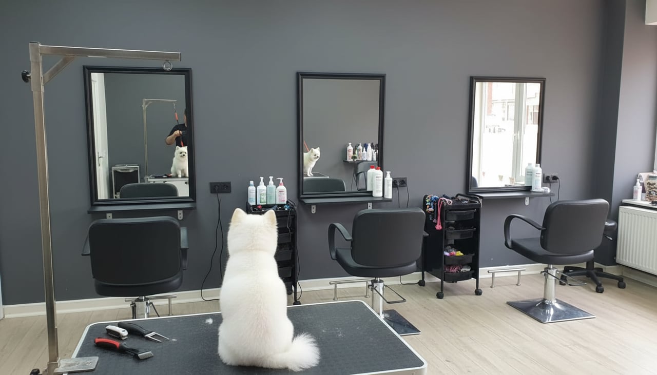 CIKO Pet Grooming Ataşehir - Pet Kuaför ve Pet Shop