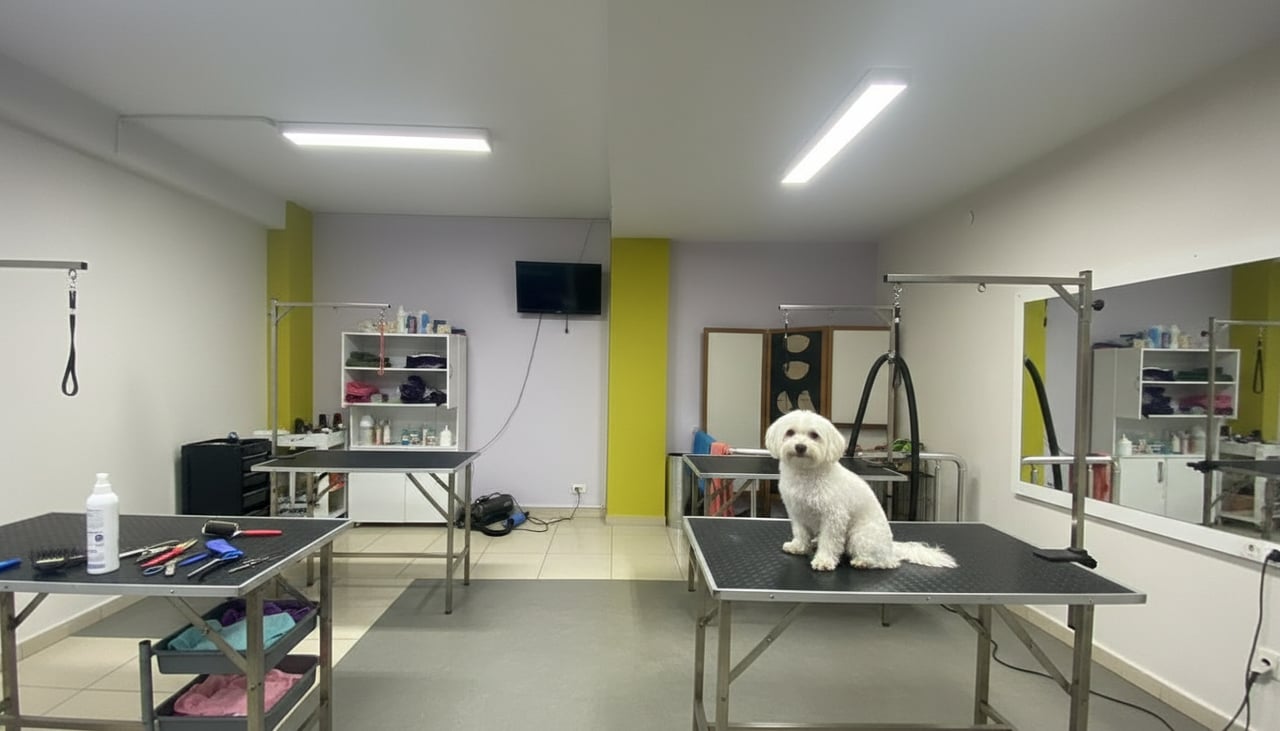 Kültür Kepez Pet Kuaför Salonu
