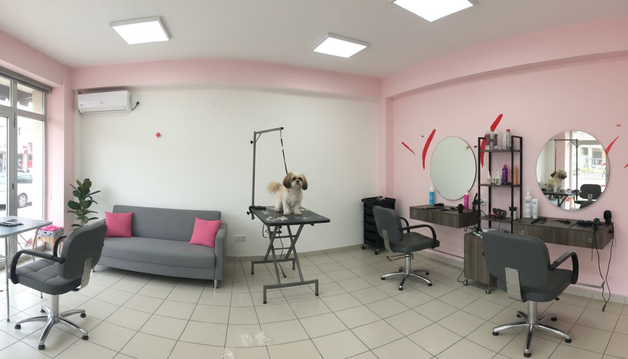 Pet Kuaför Ataşehir