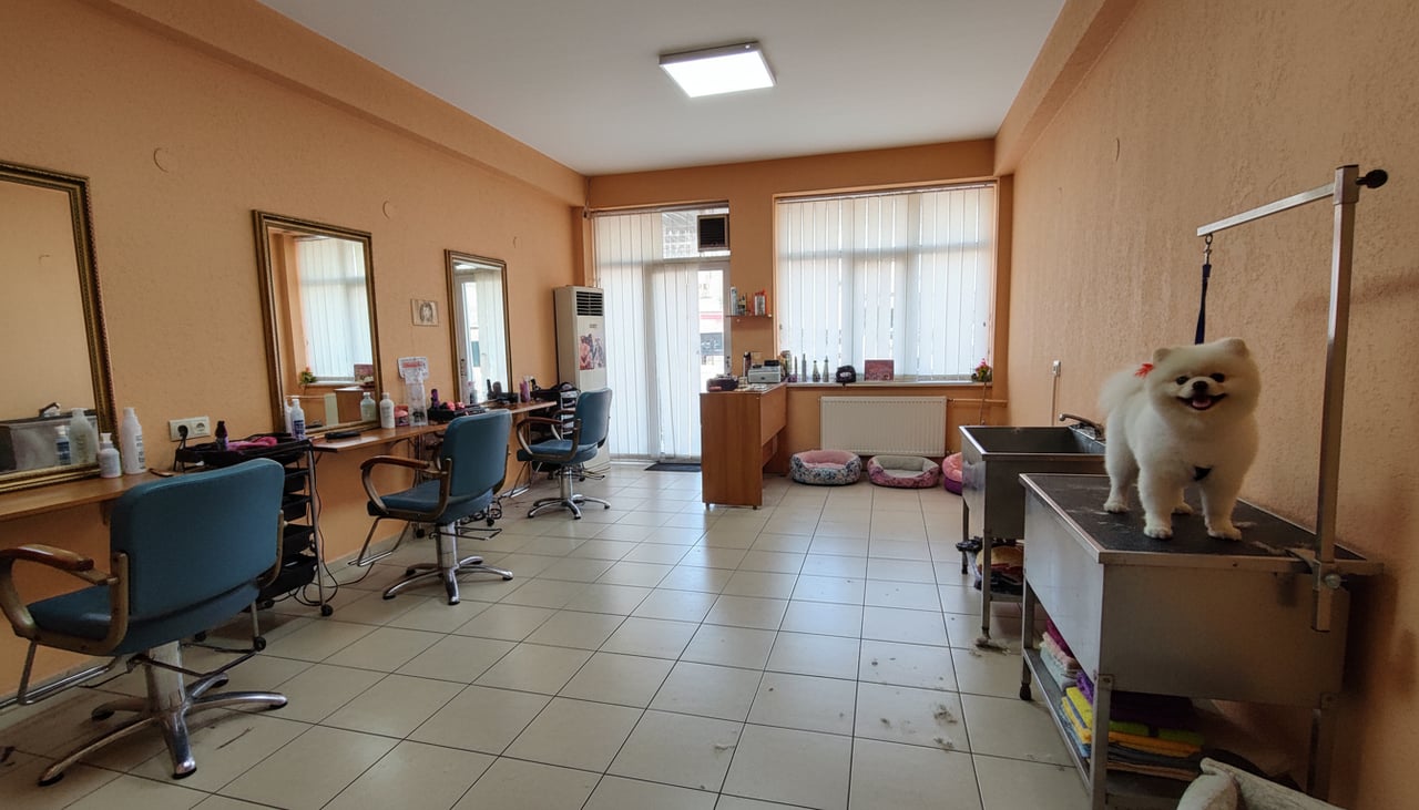 Vitalis Grooming & Pet Shop ( Mamak Pet Kuaför )