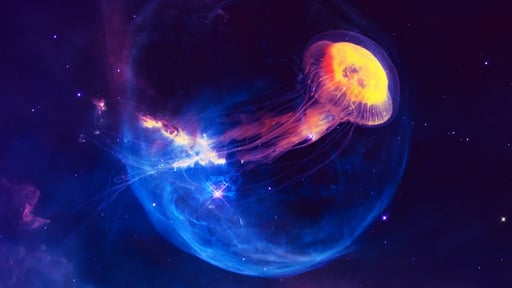 Cosmic Jellyfish