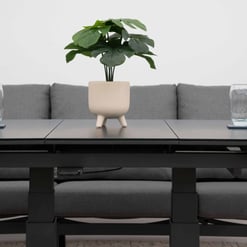 Modern living room table with potted plant and two glasses of water, stylish home decor with neutral tones, ideal for home and garden interior design.