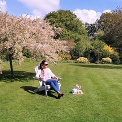 Lush green garden with blooming cherry blossom trees, perfect outdoor space for relaxation, garden furniture, and garden decor | Empire Home and Garden.