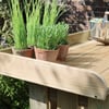 Lush green potted herbs on a wooden garden table for outdoor gardening.