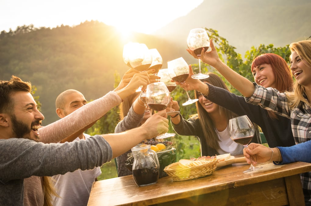 Enjoying a vineyard sunset toast with friends, featuring outdoor wine glasses, lush green scenery, and a warm inviting atmosphere at Empire Home and Garden.