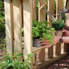 Lush green basil plant being transplanted into a wooden garden bed with a watering can in the background. Perfect for herb gardening and enhancing outdoor spaces.