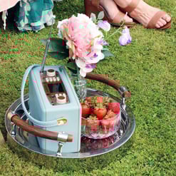 Vintage portable radio with a vase of pink and purple flowers and a bowl of strawberries on a silver tray, set on a grassy outdoor space, perfect for garden decor and outdoor entertainment.