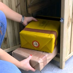 Box of home and garden supplies being placed inside a wooden storage shed for organization and storage.