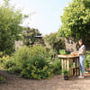 Lush garden with woman watering plants at a wooden outdoor plant stand, surrounded by trees and flowering bushes, showcasing backyard gardening and sustainable outdoor living.