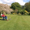 Relaxing woman enjoying coffee on garden lawn with blooming trees and vibrant landscaping, perfect for outdoor entertaining and yard beautification.