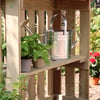 Brightening garden shed with watering can, potted plants, and vibrant flowers for outdoor gardening and home decor.