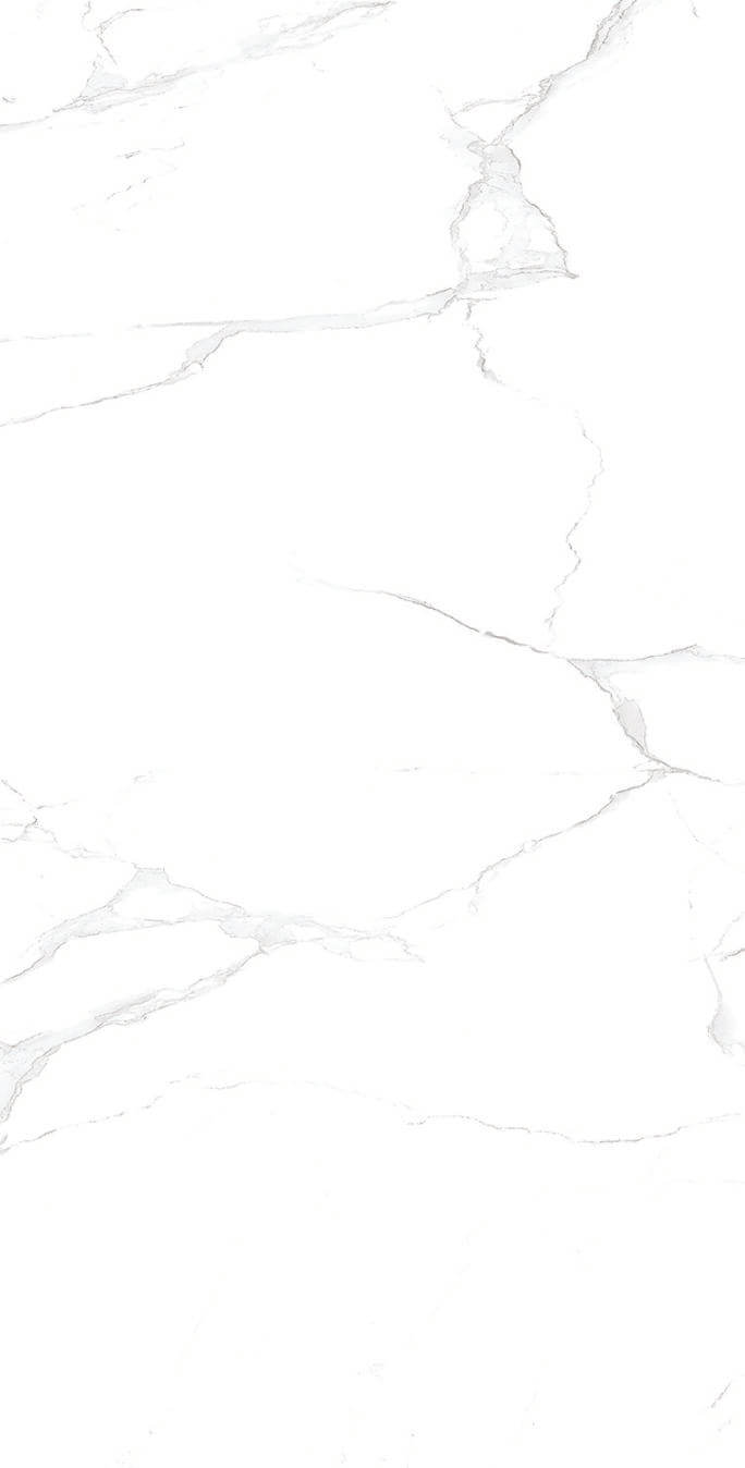 PLAIN WHITE 12X24 PORCELAIN TILE