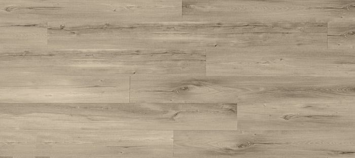 Cotton Grey Twelve Oaks Foundation 2520 Dryback Vinyl Flooring