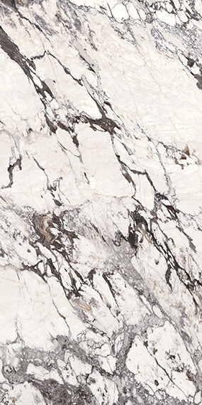 Calacatta Aries Elemental Selection Daltile SQUAREFOOT FLOORING - MISSISSAUGA - TORONTO - BRAMPTON