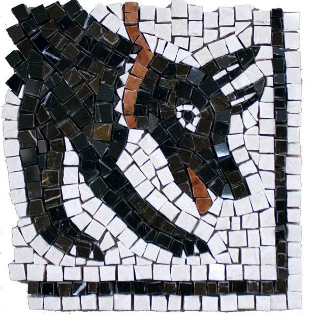Arazzo Cane 1 – 7”x7” SQUAREFOOT FLOORING - MISSISSAUGA - TORONTO - BRAMPTON