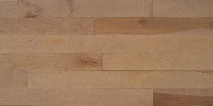 Appalachian Birch Biscotti Hardwood Flooring – Signature SQUAREFOOT FLOORING - MISSISSAUGA - TORONTO - BRAMPTON