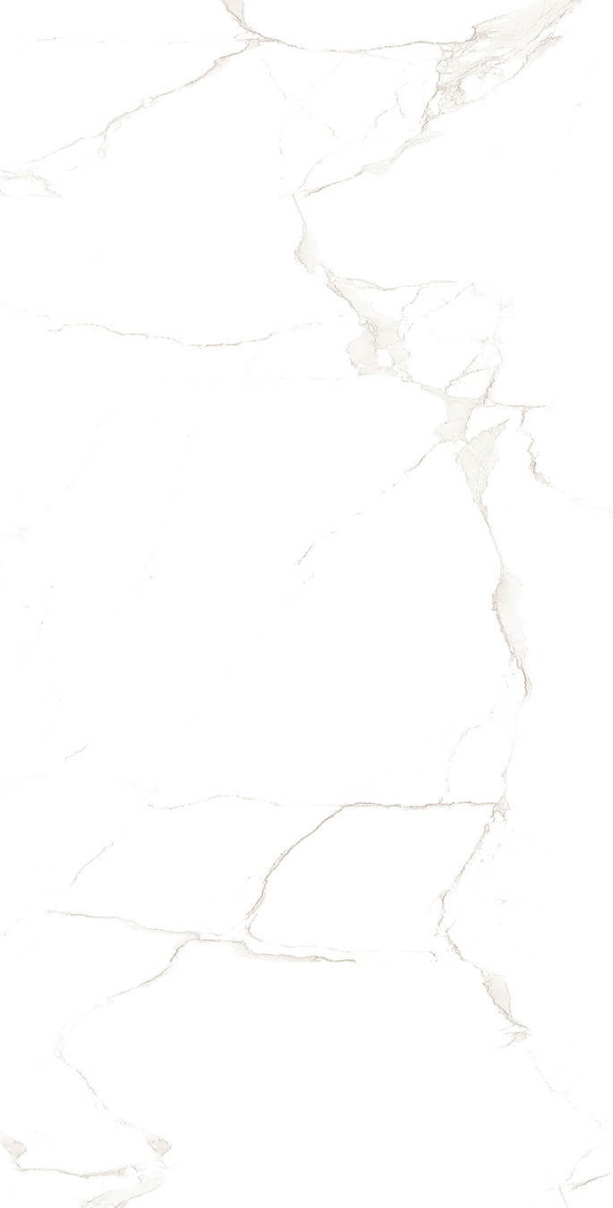 Alcora Bianco 24x48 Porcelain Tile