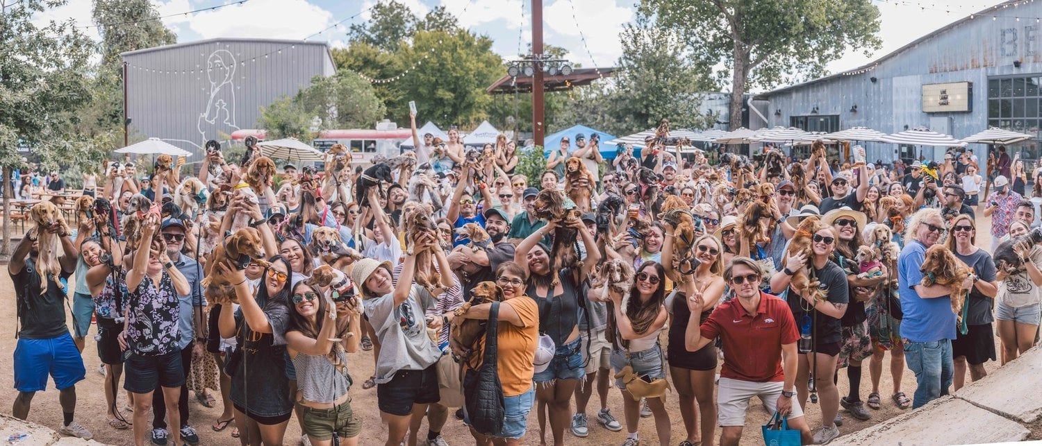 10 YEARS OF ZILKERBARK!