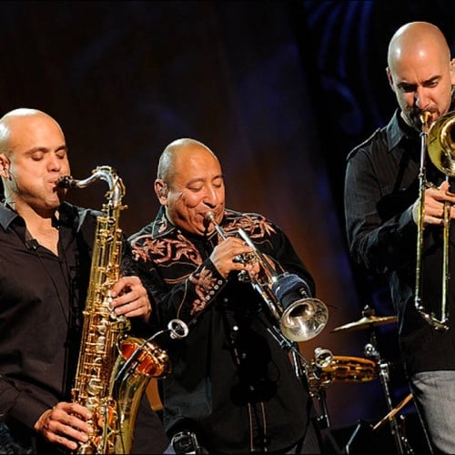 D-MADNESS @9:30PM, GROOVELINE HORNS @11PM