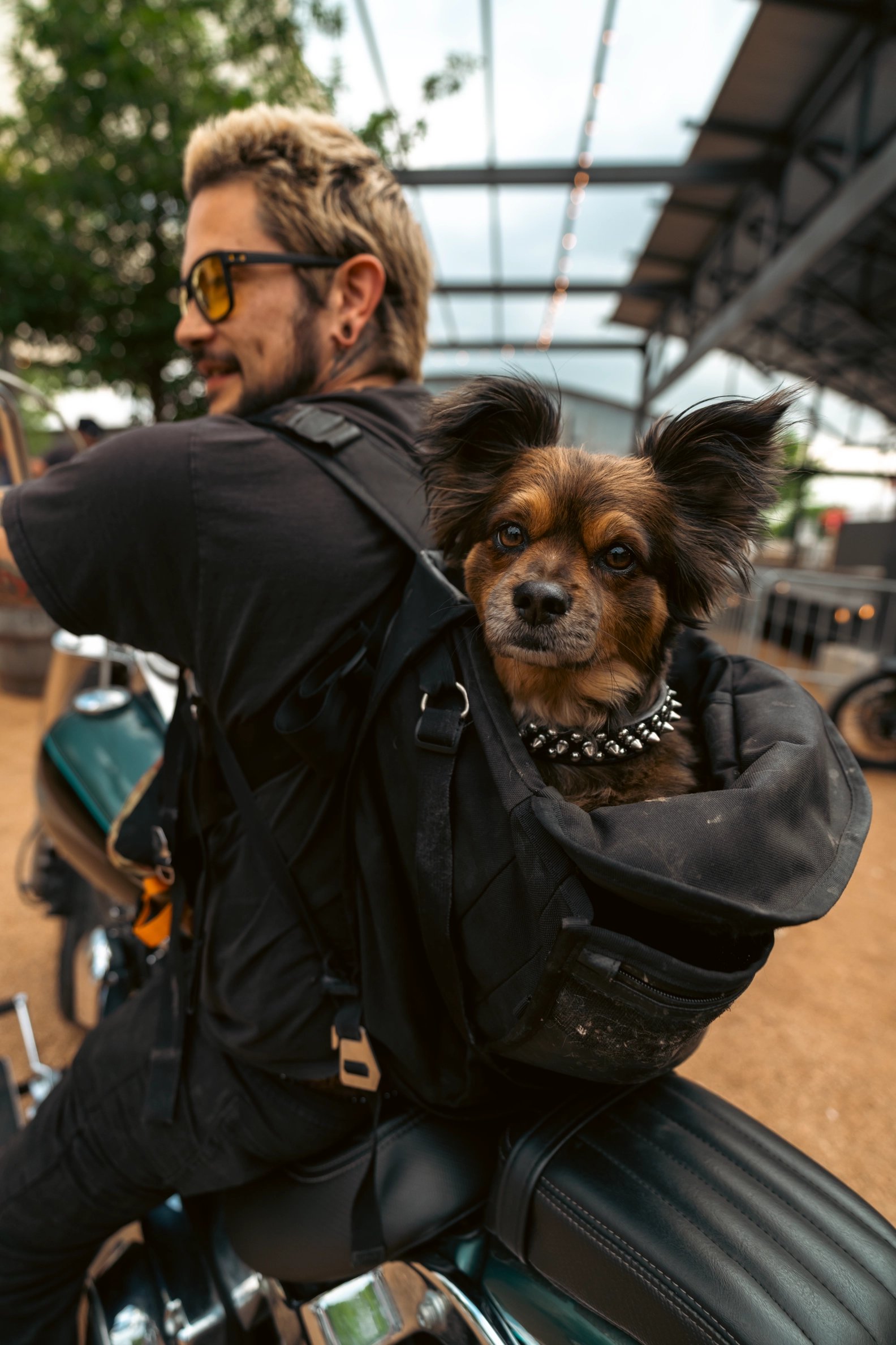 DADS AND DOG DADS DAY