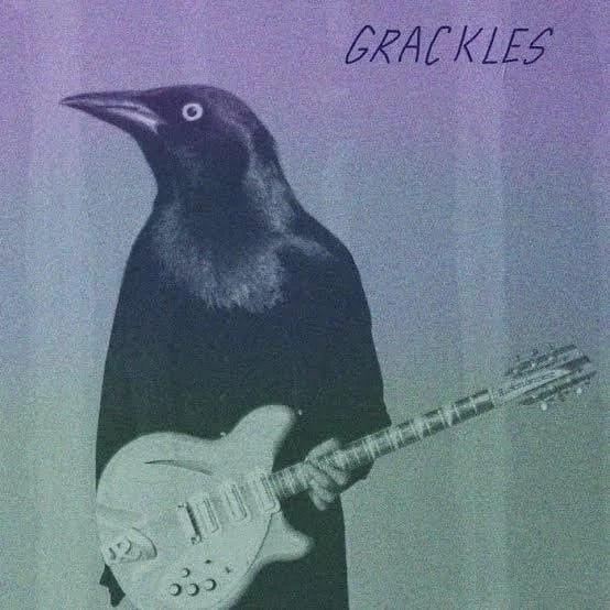 GRACKLES