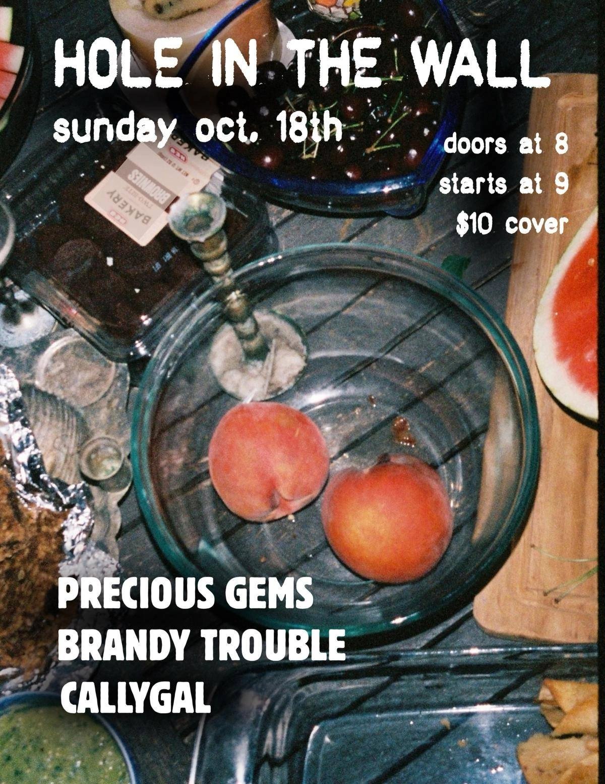 PRECIOUS GEMS WITH BRANDY TROUBLE & ONE CALLIE