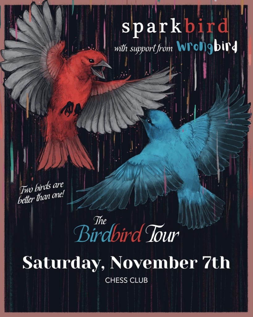 SPARKBIRD / WRONGBIRD