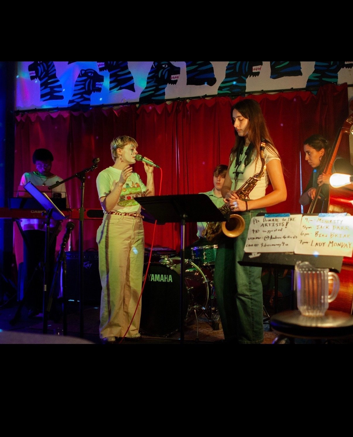 THE BEAU BRIAR BAND