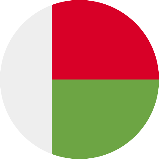 Madagascar flag