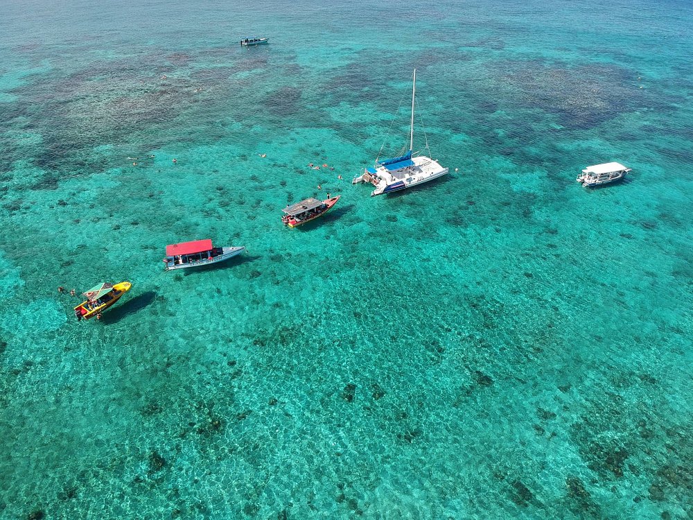 Glass Bottom Boat Ride