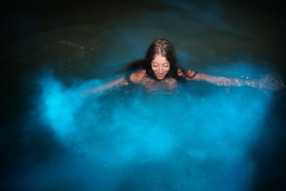 Luminous Lagoon Night Swim