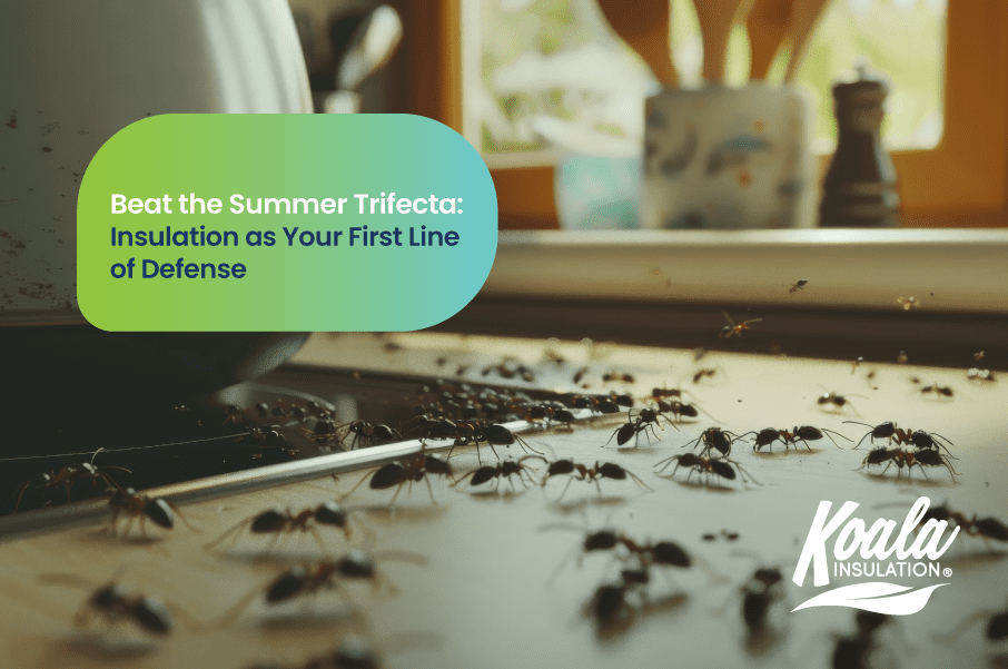 Beat the Summer Trifecta: Insulation as Your First Line of Defense